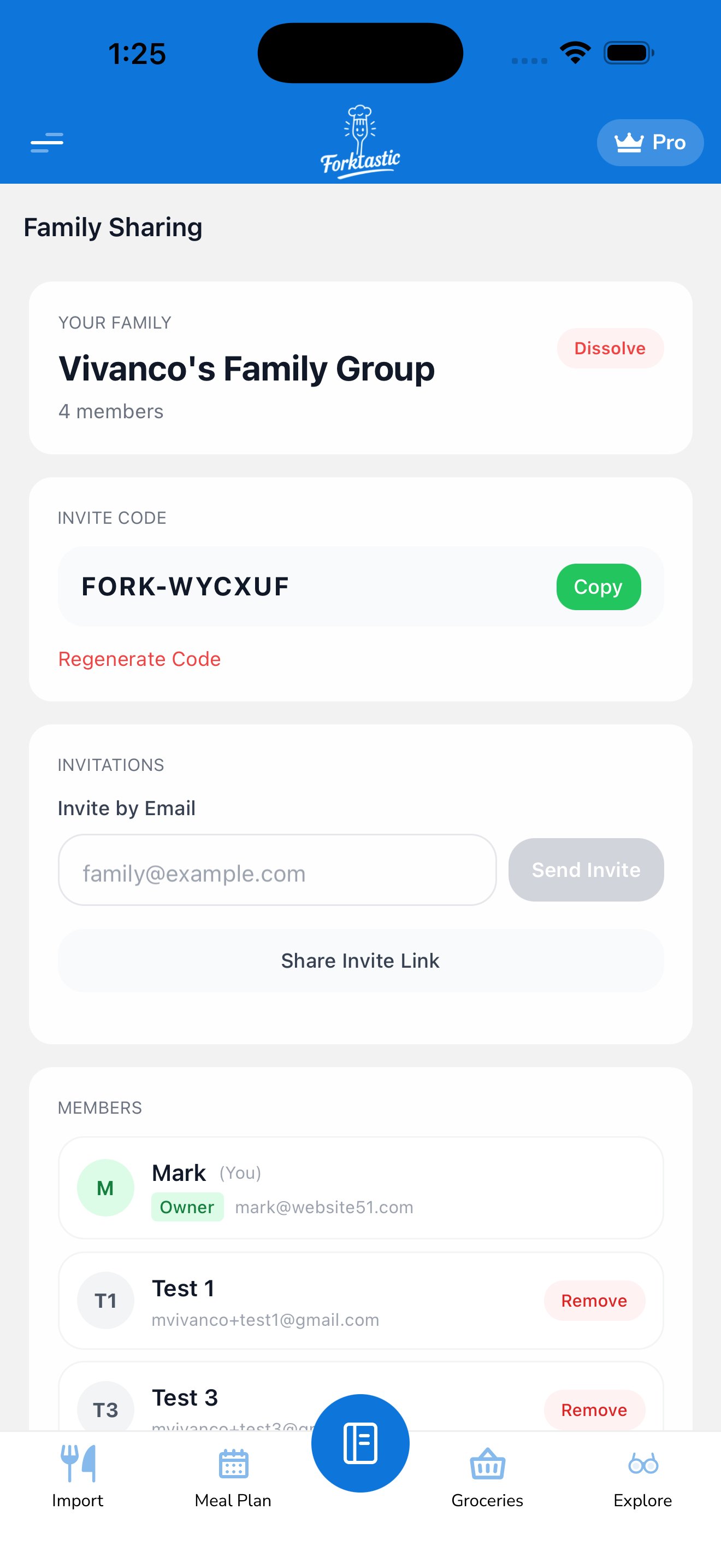 A family group after creation — shows the family name, invite code, and member list.